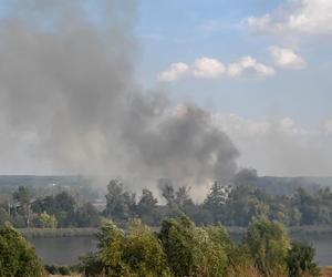 Słup dymu pod Szczecinem. W akcji samoloty gaśnicze. Strażacy wskazują na podpalenie