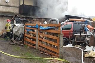 37-latek z poważnymi obrażeniami. „Eksperymentował z fajerwerkami”