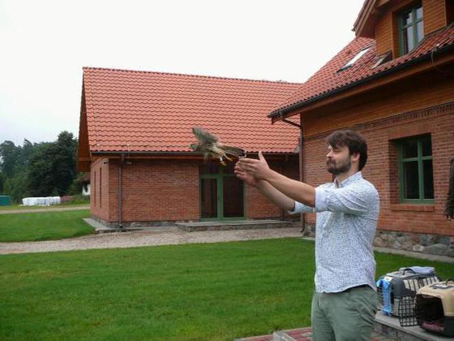 Warmińsko-mazurskie. Niebo w leśnictwie Zazdrość wzbogaciło się o 6 ptaków drapieżnych