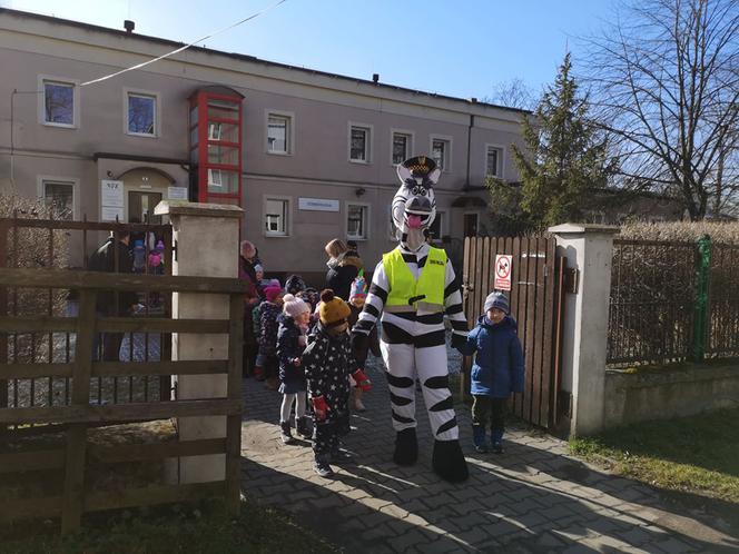 Zebra uczy dzieci przechodzić przez... zebrę