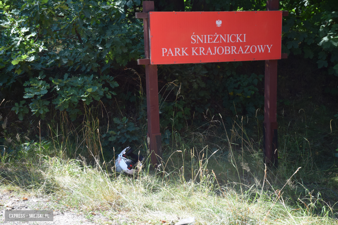 Motocyklista z Wrocławia roztrzaskał się na drzewie 