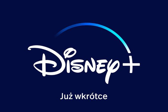 Disney + w Polsce. Kiedy i jakie filmy będzie można obejrzeć na platformie?