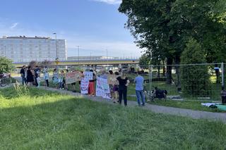 Linia tramwajowa do Mistrzejowic. Protest ws. wycinki drzew w Krakowie