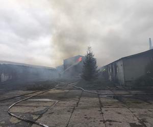 Ogromny pożar kurnika pod Olsztynem. W akcji udział brało kilkanaście zastępów straży pożarnej [ZDJĘCIA]