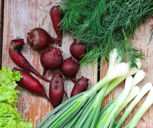 Nowalijki: są zdrowe, czy szkodliwe? Czy powinniśmy jeść nowalijki? [QUIZ]