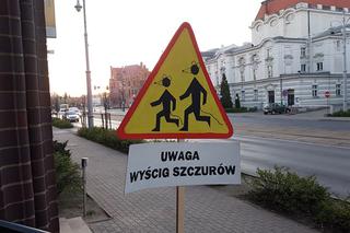 Dziwne znaki pod sądem i bankiem w Toruniu
