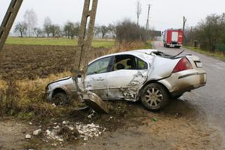 Pijany kierowca ściął słup elektryczny - prąd zabił 27 krów! [ZDJĘCIA]