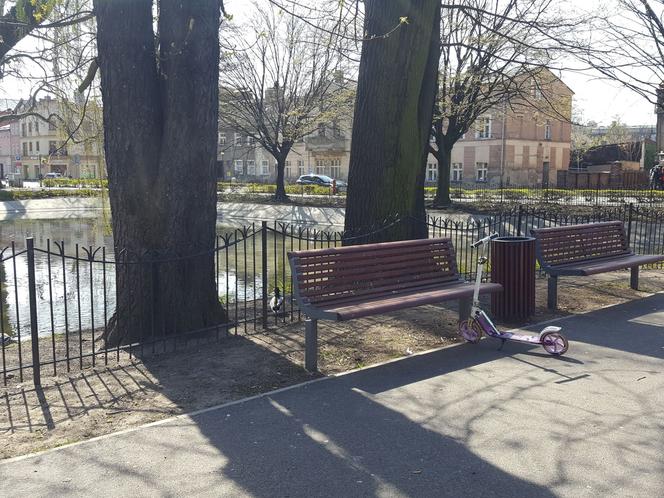 Kończy się czwarty etap rewitalizacji parku na Pl. Kościuszki w Lesznie
