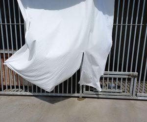 Sposób na upały w schronisku dla zwierząt w Henrykowie koło Leszna. Psy przed słońcem będą osłaniać rolety [ZDJĘCIA]
