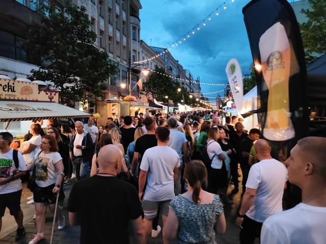 Drugi dzień Łódź Summer Festival. Uczestnicy bawili się w rytmie wielkich hitów 