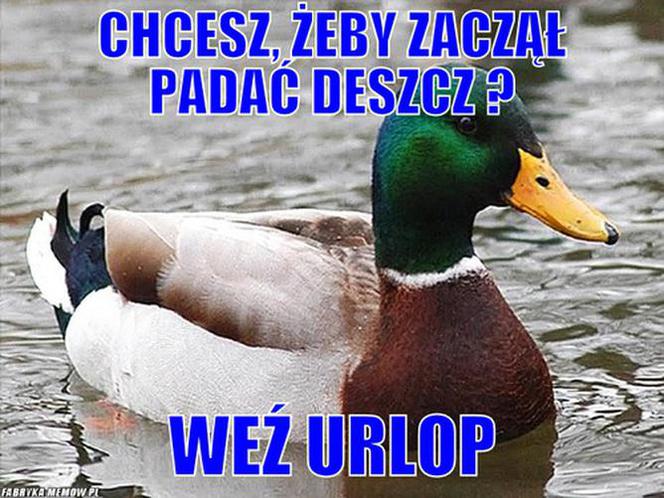 Urlop: memy
