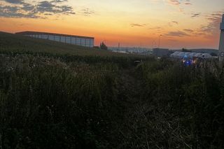 ​Zakończył jazdę... w polu kukurydzy. Policjanci ustalili, że to 21-latek z Gostynia