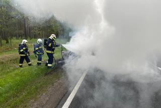 Kujawsko-pomorskie: Pożar samochodu na DK 10. Pojazd słonął doszczętnie! [ZDJĘCIA] 