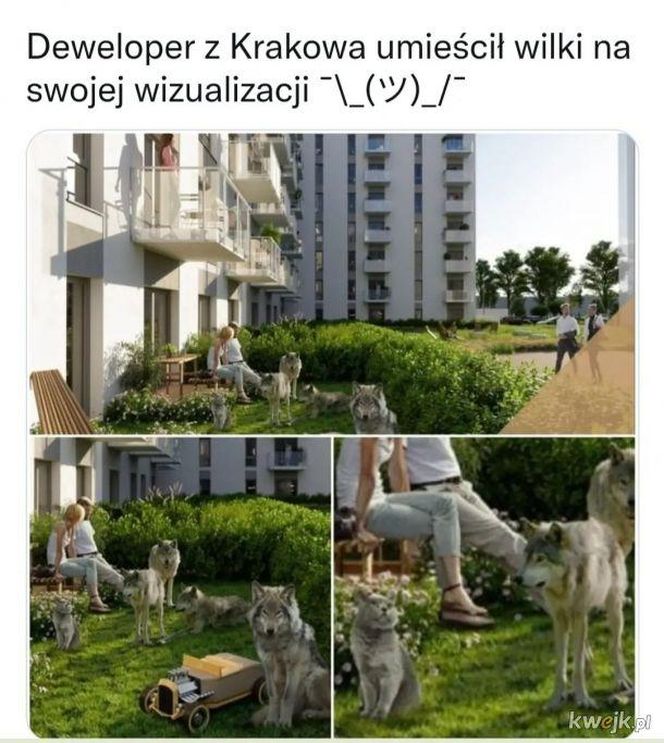 Najlepsze memy o deweloperach