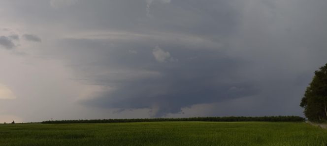 Potężne burze nad Polską. Drzewa spadały na samochody, setki interwencji straży pożarnej 