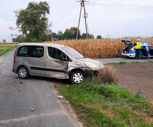 Pijany kierowca spowodował kolizję. Auto ofiary wylądowało na żywopłocie