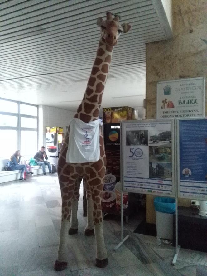 Protest rezydentów w Krakowie