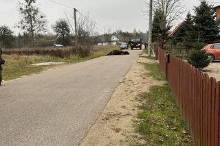 Żubr zginął na podlaskiej drodze. Zwierzę potrąciła wojskowa ciężarówka [ZDJĘCIA]