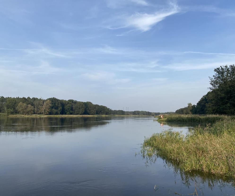 Rzeka Odra w okolicy Lasu Odrzańskiego