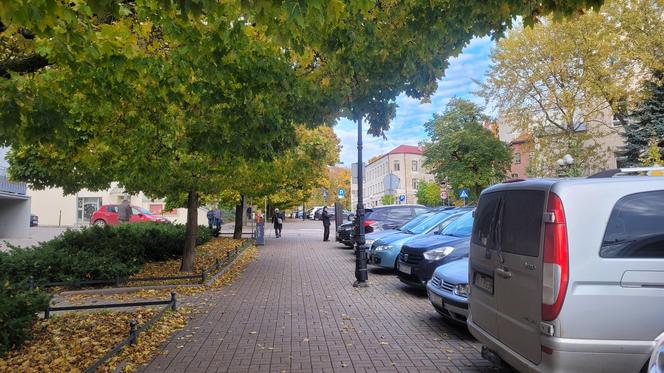 Kolorowe drzewa i klimatyczne kamienice. Ta ulica w Olsztynie zachwyca jesienią