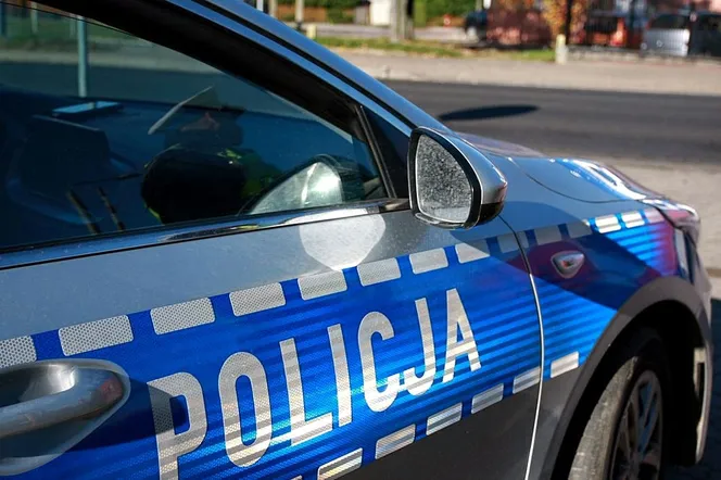 26-latek z gminy Zbójna koło Łomży nie trafi do aresztu po zabójstwie dwóch psów. Tak zdecydował sąd