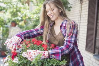 Pielęgnacja roślin balkonowych w sezonie: podlewanie, nawożenie, ochrona i usuwanie przekwitłych kwiatów
