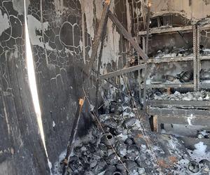 Tragiczny finał pożaru w Toruniu. Ogień pojawił się niespodziewanie, zginął piesek