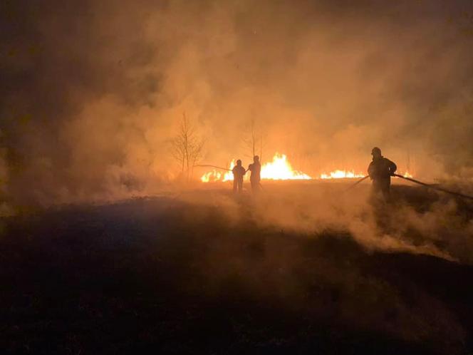INFERNO w Żabnie! Sześć jednostek straży pożarnej walczyło z płomieniami