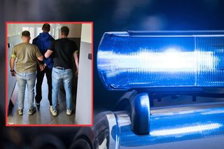 Odpowie za próbę otrucia psów sąsiada. Jego celem były dwa labradory