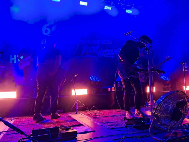 Posadzili drzewa, a następnie dali gorący koncert. Finał akcji zespołu Nocny Kochanek w Skarżysku