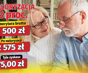 Waloryzacja emerytur 3 proc.