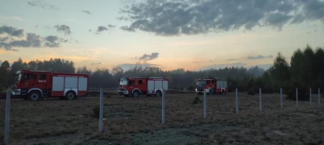 Ogromny pożar pod Grójcem! Spłonęło 80 hektarów lasu