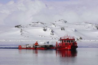 Naukowcy alarmują: załamanie Antarktydy może być nieodwracalne. Grozi gwałtowny wzrost poziomu mórz