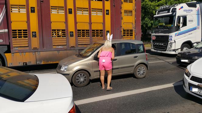 Juwenalia 2018 w Bydgoszczy. Przebrani studenci opanowali miasto! [ZDJĘCIA]