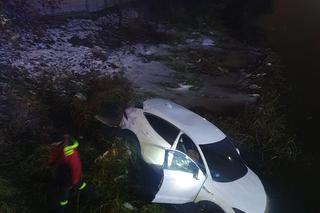 Jego jaguar wylądował na dnie Motławy! Niesłychany wypadek w Gdańsku [ZDJĘCIA]