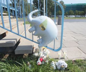 4-latek ciągnięty przez tramwaj. Wstrząsające zeznania świadków sprzed lat. „Nagle usłyszałam krzyk”