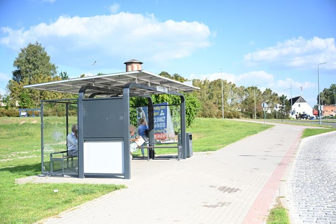 Pies pogryzł 3-latka na przystanku