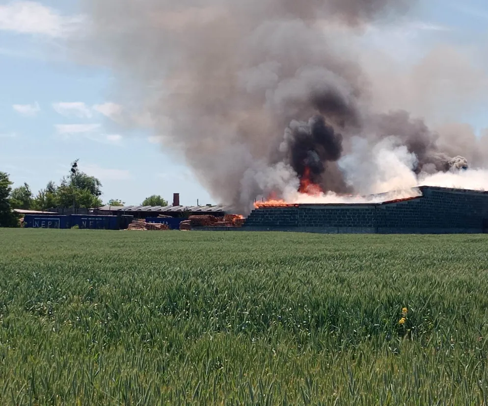 Wielki pożar tartaku w powiecie średzkim! Na miejscu działało 14 zastępów straży pożarnej 