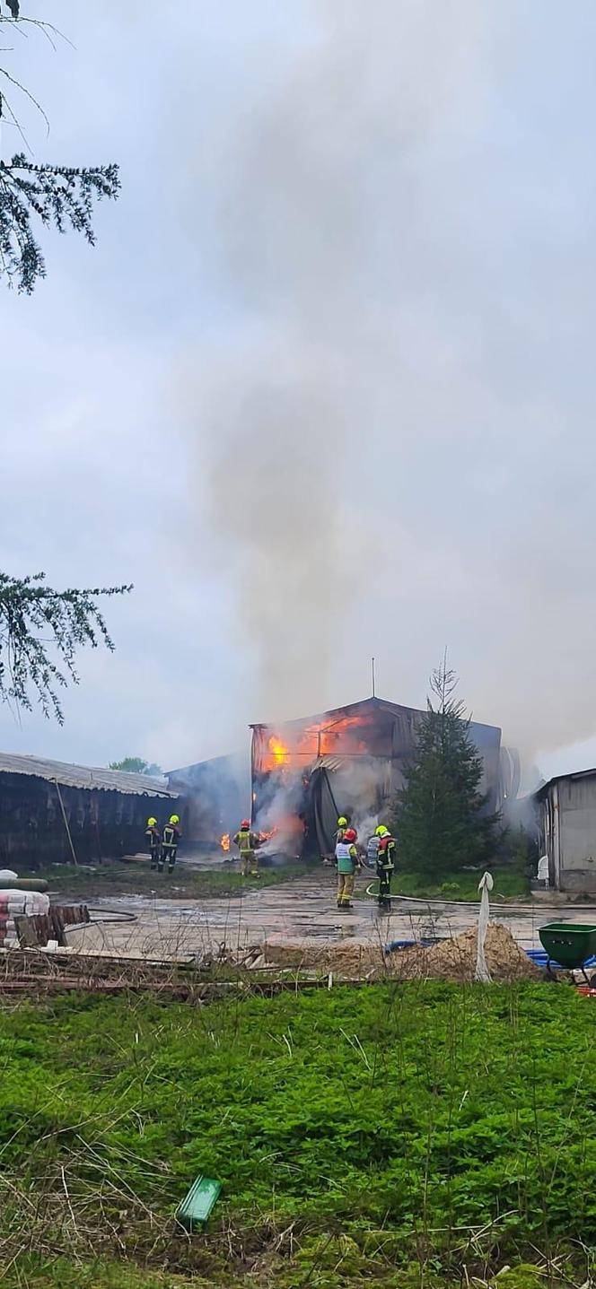 Ogromny pożar kurnika pod Olsztynem. W akcji udział brało aż 18 zastępów straży pożarnej [ZDJĘCIA]