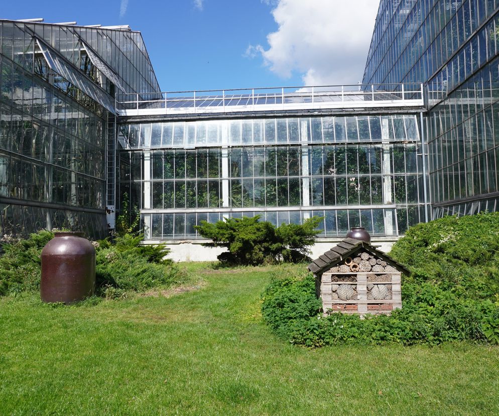 Palmiarnia Poznańska do przebudowy, ale jest problem. Unieważniono przetarg