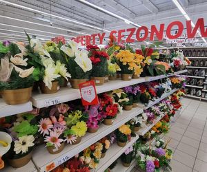 Auchan w Poznaniu: ceny zniczy przed Wszystkimi Świętymi 