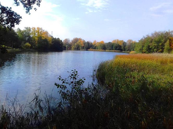 Jeziora w Toruniu i okolicach. Tutaj możesz odpocząć nad wodą