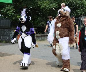 Marsz futrzaków w Lublinie. Tak wyglądał I Lubelski Fursuitwalk