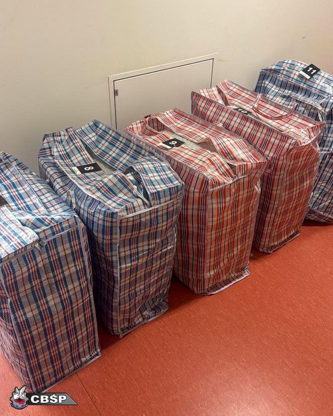 Akcja CBŚP. Pseudokibic zatrzymany