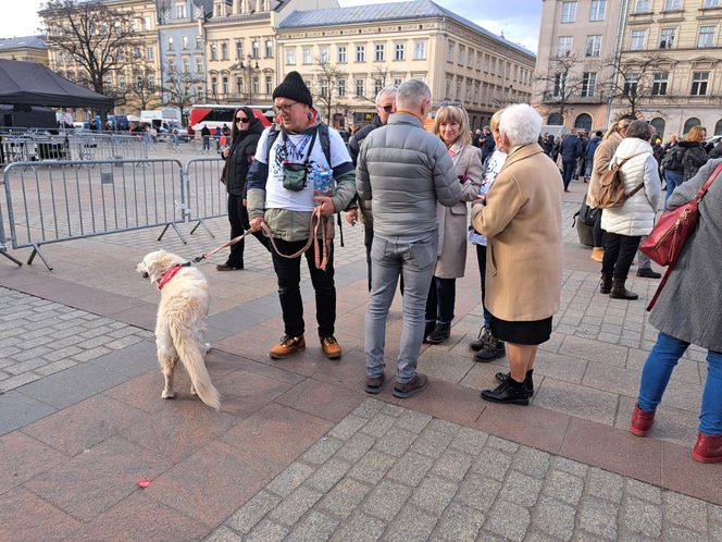 33. Finał WOŚP z grupą krakowskich Golden Retrieverów