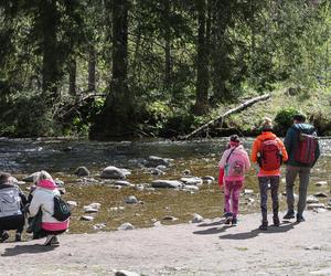 Tłumy w Tatrach przed majówką. Dolina Kościeliska