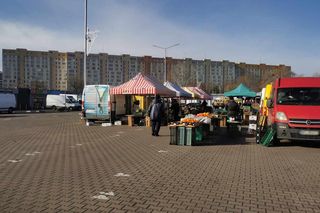 Akademik stanie na wolumenie