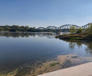 Wisła w Fordonie wyraźnie przybrała i przyspieszyła. Duża woda niesie mnóstwo śmieci i zanieczyszczeń