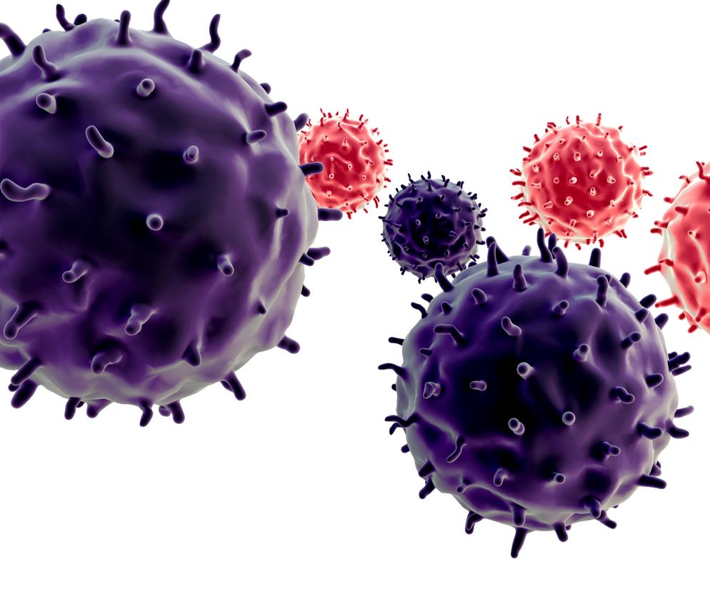 TERAPIA FAGOWA (fagoterapia, leczenie fagami) - na czym polega?