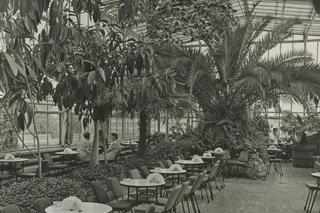 Palmiarnia Zielonogórska kilkadziesiąt lat temu